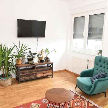 Avenija Oaza Apartment Нови Сад Екстериор снимка