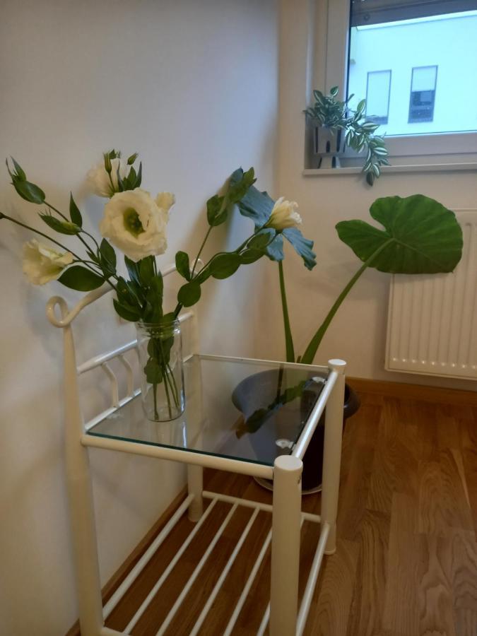 Avenija Oaza Apartment Нови Сад Екстериор снимка